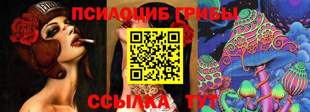 Псилоцибиновые грибы Psilocybine cubensis  Вход с VPN  Верхний Уфалей 